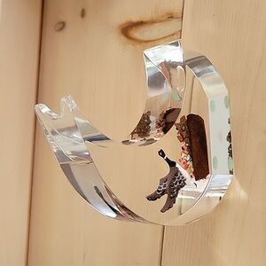 Canada Goose Lucite Art Decor